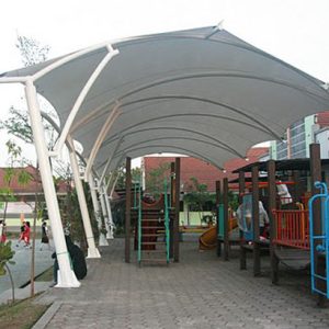 membrane (11)