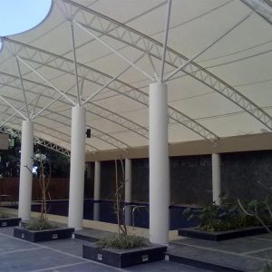 membrane (15)