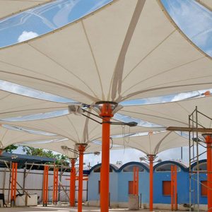membrane (19)