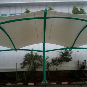 membrane (25)