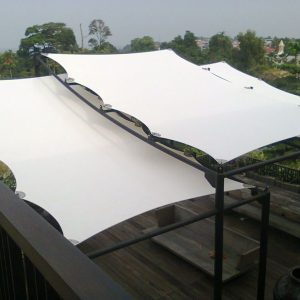 membrane (33)