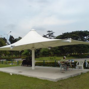 membrane (6)
